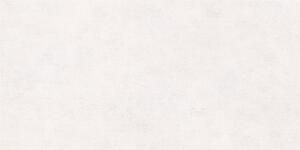 Norway Bianco Mat 120x60 R