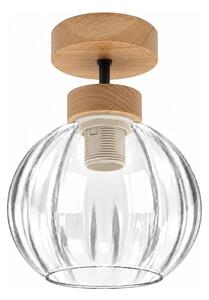 BRILAGI - LED Prisadený luster RETRO GLASS 1xE27/60W/230V pr. 18 cm dub/priehľadné