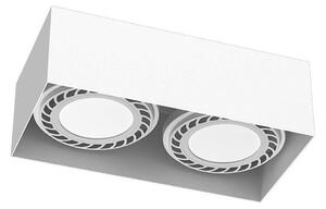 Brosline 1270 - Bodové svietidlo CAGE 2xGU10/18W/230V biela