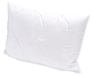 Brotex Vankúš Aloe vera 45x60 cm na zips