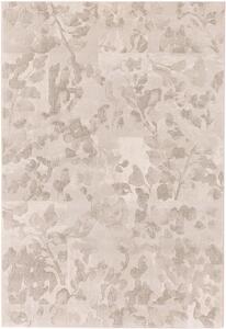 Koberec Ragolle Argentum 63056 6575