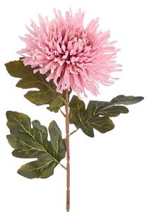 FLORISTA Chryzantéma 73 cm - ružová