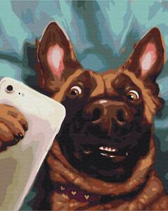 Maľovanie podľa čísiel pes s mobilom