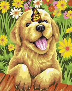 Maľovanie podľa čísiel hravý pes s motýľom