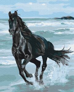 Maľovanie podľa čísiel čierny kôň na pláži