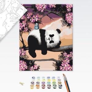 Maľovanie podľa čísiel ospalá panda
