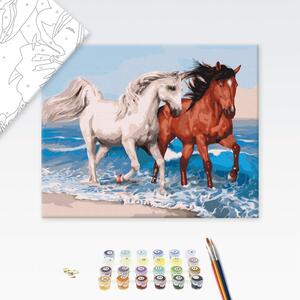 Maľovanie podľa čísiel cválajúce kone na pobreží