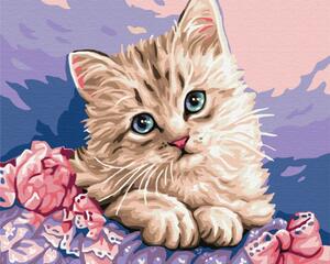 Maľovanie podľa čísiel mačka s belasými očkami