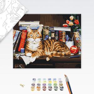 Maľovanie podľa čísiel mačka knihomoľka