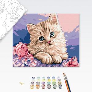 Maľovanie podľa čísiel mačka s belasými očkami
