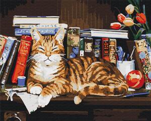 Maľovanie podľa čísiel mačka knihomoľka