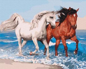 Maľovanie podľa čísiel cválajúce kone na pobreží