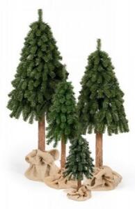 Limpol Vianočný stromček Horský smrek 1,70 m