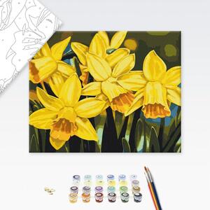 Maľovanie podľa čísiel kvety narcisov