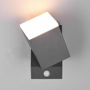 Vonkajšie nástenné svietidlo Avon LED, jedno svetlo, senzor