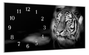 Nástenné hodiny tiger 30x60cm VI - plexi