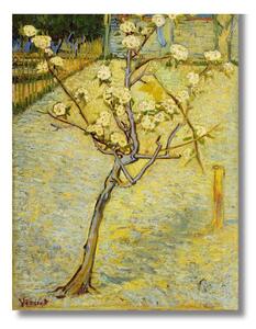 Obraz Vincent van Gogh - Kvitnúca hruška 50x30 cm