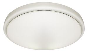 Stropné LED svietidlo Pepe, 1x LED 10w, 4000k, w