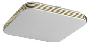 Stropné LED svietidlo Dabar, 1x LED 11w, 4000k, g