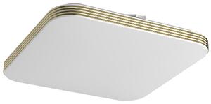 Stropné LED svietidlo Dabar, 1x LED 17w, 4000k, g