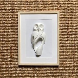 3D obraz Sovy 30x40 cm