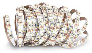 ECOLIGHT LED pásik - SMD 2835 - 5m - 600/5m - 9,6 W/m - IP20 - teplá biela