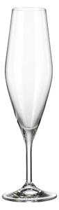 Crystalite Bohemia poháre na šampanské Gavia 210 ml 6KS