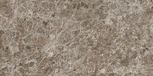 Dlažba Porcelaingres Estro brown 60x120 cm mat X126474X8