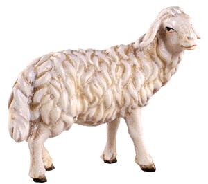 Stojaca ovečka - dolomitský