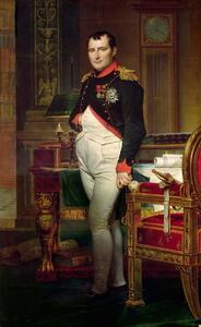Obrazová reprodukcia Napoleon Bonaparte in his Study at the Tuileries, Jacques Louis David