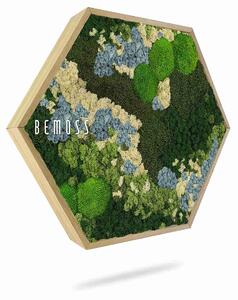 Machový Hexagon BEMOSS® ORTHO ICE - Priemer 30 cm (v najširšom mieste šesťuholníka)