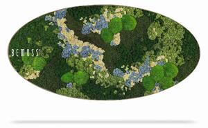 Machový obraz Elipsa BEMOSS® ORTHO ICE - 50 x 100 cm