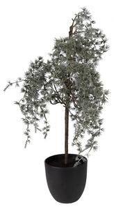 Vianočné dekorácie cédrový stromček v kvetináči Cedar M - 30*30*60 cm - Clayre & Eef