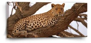 Sablio Obraz Leopard 2 - 110x50 cm