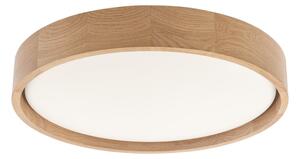 Brilagi - LED stropné svietidlo MANAROLA PLAIN LED/24W/230V 3000K priemer 41 cm dub
