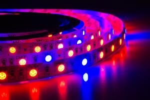 ECOLIGHT LED pásik - SMD 5050 - 5m - 60LED/m - 14,4 W/m - IP65 - červená + modrá