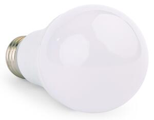 10x LED žiarovka - ecoPLANET - E27 - 10W - 800Lm - studená biela