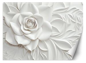 Fototapeta Nádherná biela ruža Materiál: Vliesová, Rozmery: 200 x 140 cm