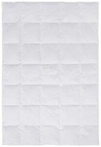 CELOROČNÁ PRIKRÝVKA, 135/200 cm, perie, páperie Boxxx - Prikrývky & vankúše