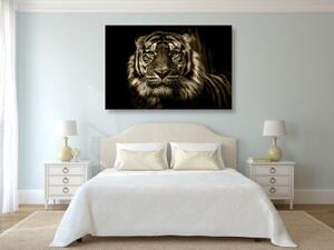 Obraz tiger v sépiovom prevedení - 60x40