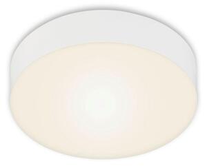 STROPNÉ LED SVIETIDLO, 15,7/3,6 cm - Interiérové svietidlá