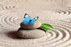 Fototapeta modrý motýľ na Zen kameni