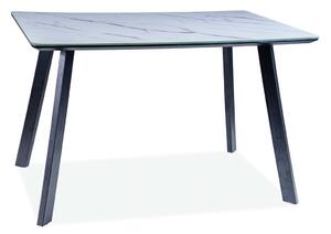 Jedálenský stôl GERLACH - 120x80, biely mramor / matný čierny