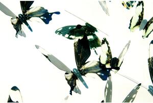 Sada 18 čiernych adhezívnych 3D samolepiek Ambiance Butterflies Chic