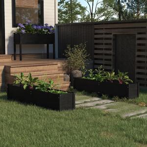 Vyvýšené záhradné záhony 2 ks čierne 150x31x31 cm borovicový masív