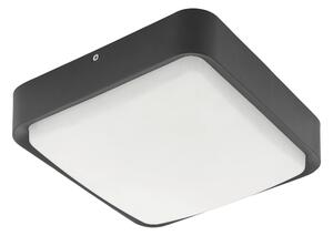 VONKAJŠIE LED SVIETIDLO, 25/25/8 cm - Online Only bytové doplnky, Online Only