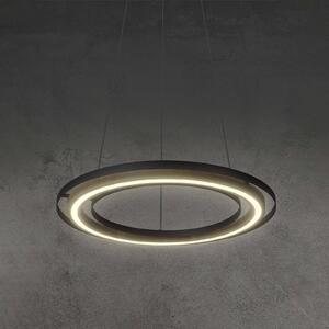 LED závesné svietidlo Rilas kruhové tienidlo 1-pl