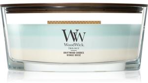 Woodwick Trilogy Driftwood Shores vonná sviečka s dreveným knotom 453.6 g