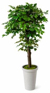 ArtTree s.r.o. Umelý strom- Dub 160 cm