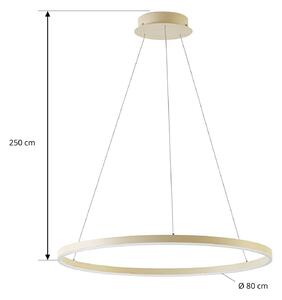 Arcchio LED závesné svietidlo Albiona, béžové, 1 krúžok, Ø 80 cm, Krémová / jantárovo žltá, Kuchyňa, kov, Moderný, Závesné svietidlo